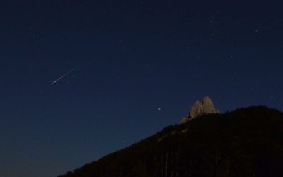 Snimanje šišmiša na planini Visočici