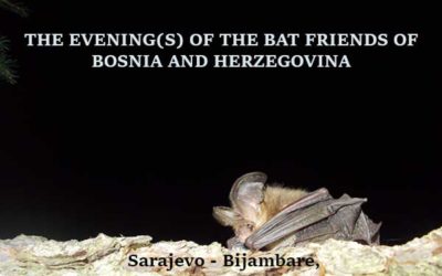 THE EVENING(S) OF THE BAT FRIENDS OF BOSNIA AND HERZEGOVINA